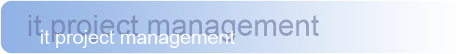 AMG-eSolutions Project Management resources