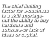 e-business skill shortage
